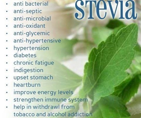 stevia-benefit